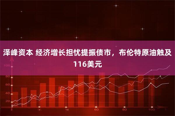 泽峰资本 经济增长担忧提振债市，布伦特原油触及116美元