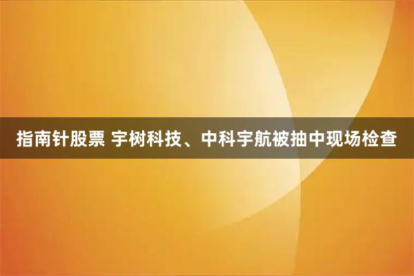 指南针股票 宇树科技、中科宇航被抽中现场检查