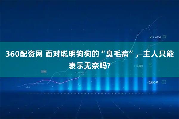 360配资网 面对聪明狗狗的“臭毛病”，主人只能表示无奈吗?