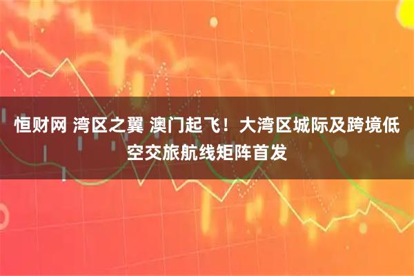 恒财网 湾区之翼 澳门起飞！大湾区城际及跨境低空交旅航线矩阵首发